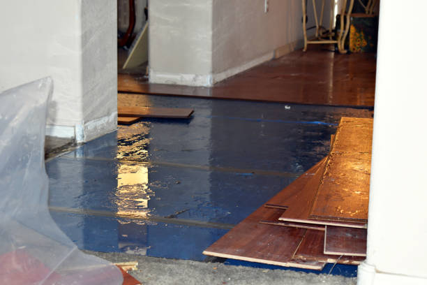 Professional Basement Flood Cleanup technician working in Topsham, ME